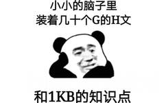 小小的脑子里装着几十个 G 的 H 文和1kb 的知识点