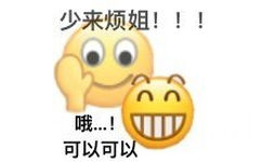 少来烦姐!!!∩∩哦可以可以 - 小黄脸表情包