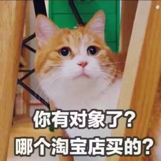 你有对象了？哪个淘宝店买的？