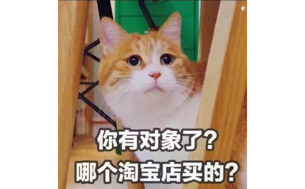 你有对象了？哪个淘宝店买的？