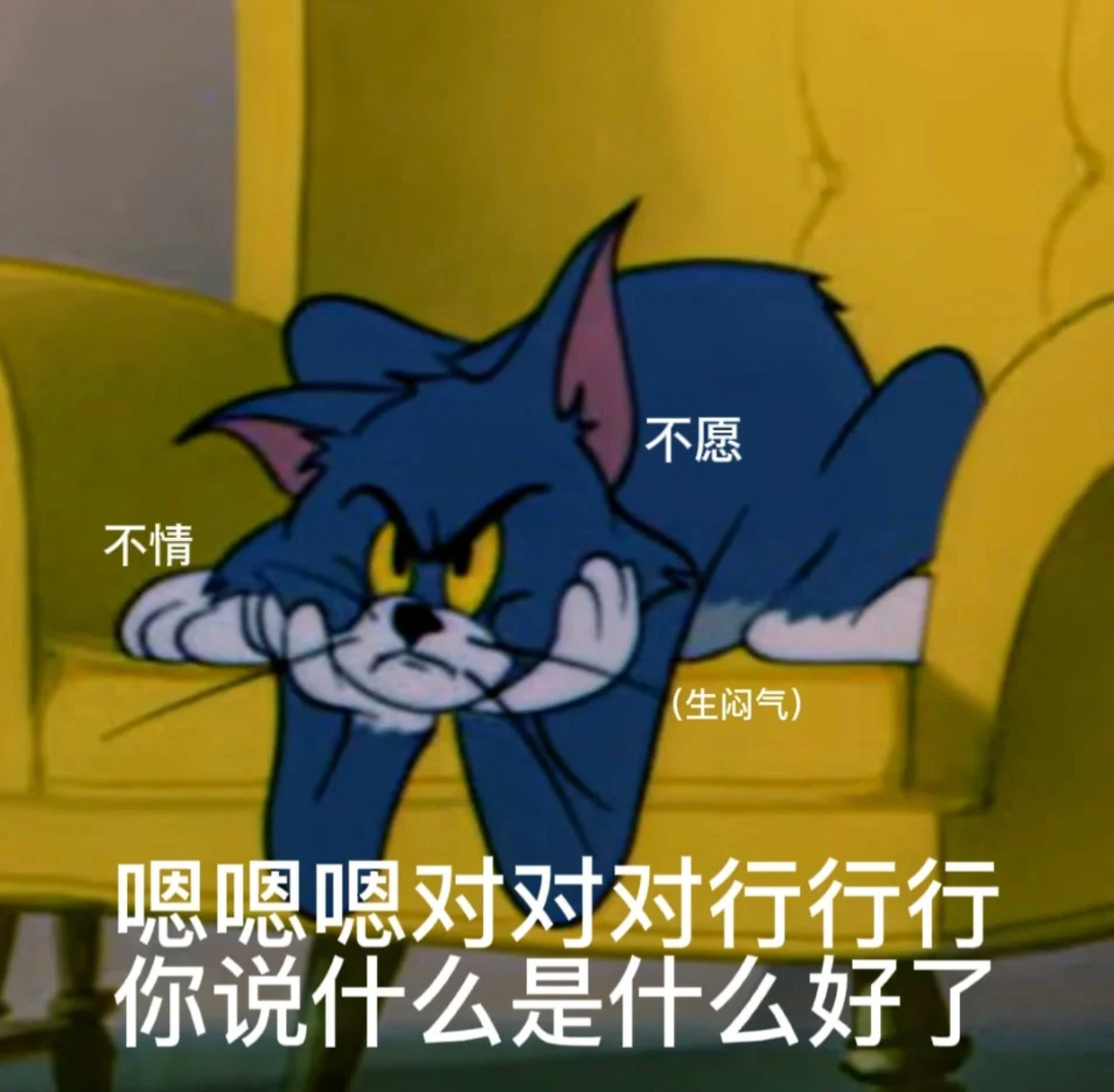 不愿不情(生闷气)嗯嗯嗯对对对行行行你说什么是什么好了