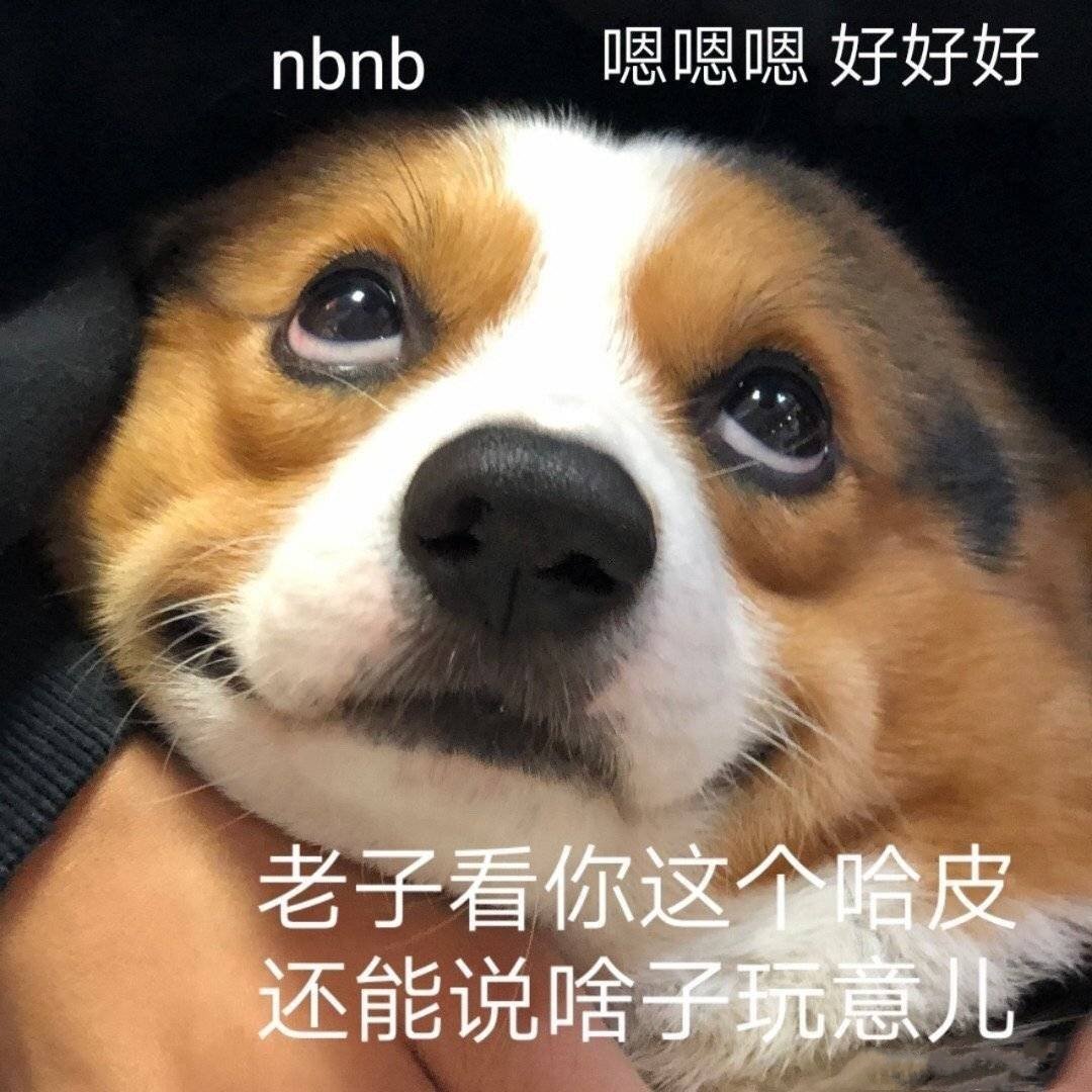 nbnb嗯嗯嗯好好好老子看你这个哈皮还能说啥子玩意儿