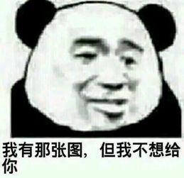 有那张图,但我不想给(熊猫头表情包)