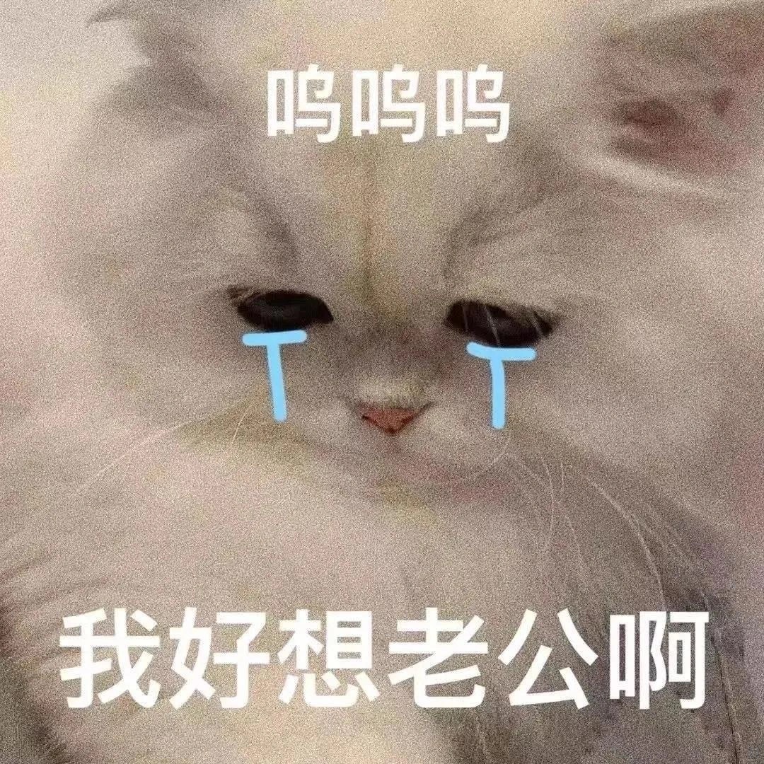 呜呜呜我好想老公啊 - 猫咪哭泣流泪猫猫头表情包 ​