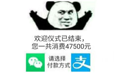 欢迎仪式已结束,您一共消费47500元请选择付款方式支(群聊表情包)