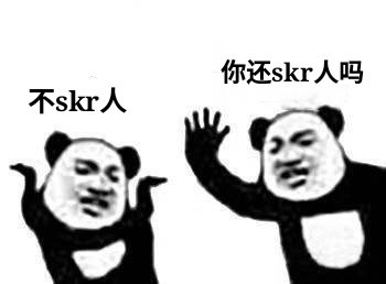 你还skr人？