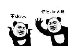 你还skr人？