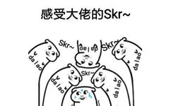 感受大佬的skr