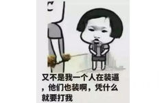 凭什么打我，又不止我一个人在装逼