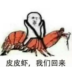 皮皮虾我们回来