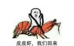 皮皮虾我们回来