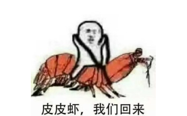 皮皮虾我们回来