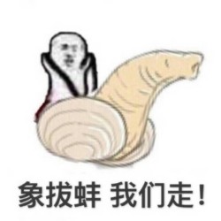 象跋蝰  我们走