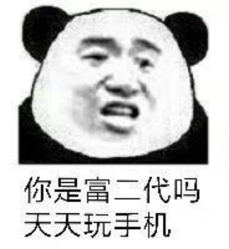 你是富二代吗 天天玩手机