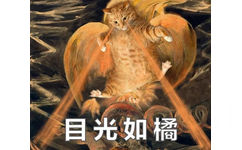 橘猫名画表情包2 