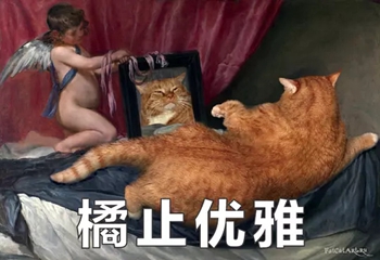 橘猫名画表情包11