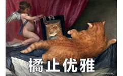 橘猫名画表情包11