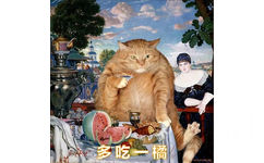 橘猫名画表情包23