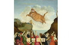 橘猫名画表情包24