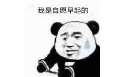 都是我自愿的表情包6