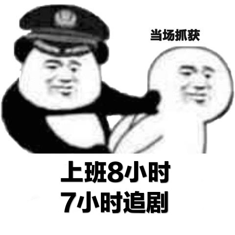 当场抓获表情包3