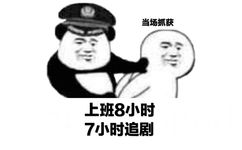 当场抓获表情包3