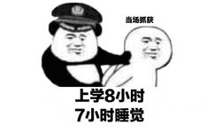 当场抓获表情包5