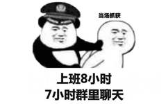 当场抓获表情包8