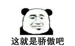 熊猫骄傲表情包11