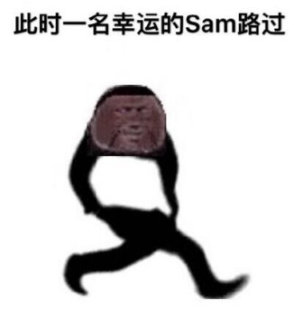 路过表情包-此时一名幸运的sam路过