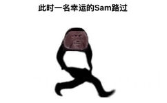 路过表情包-此时一名幸运的sam路过