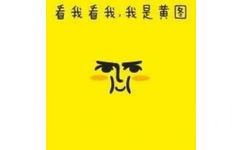 黄图表情包-看我看我