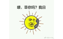 太阳与小草表情包-喂，草你吗？我日