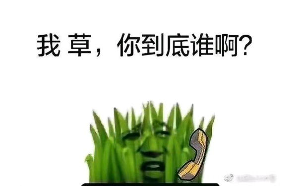 太阳与小草表情包-我草，你到底是谁啊