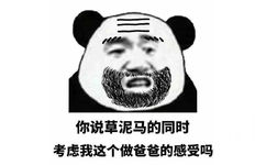 父子反目熊猫头表情包3 