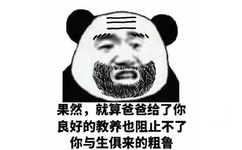 父子反目熊猫头表情包4 