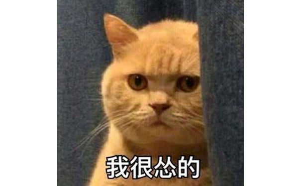 橘猫暗中观察表情包14