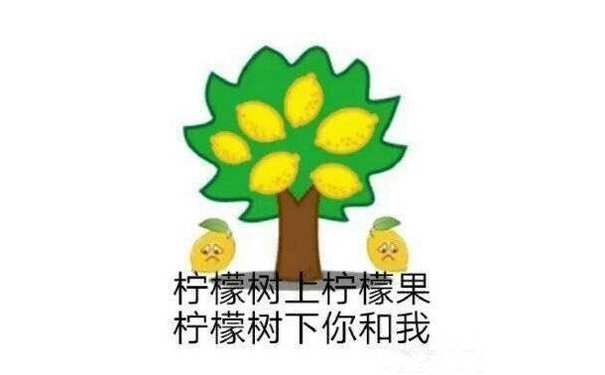 我好酸啊表情包36