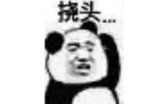 熊猫头不停的挠头表情包-2 