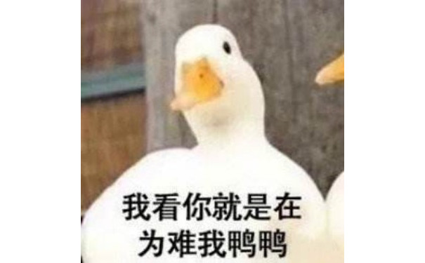 我看你就是在为难我鸭