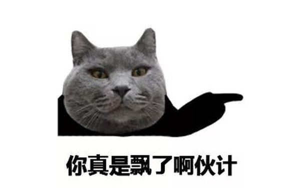 猫脸熊猫人表情包-你真是飘了啊伙计