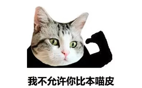 猫脸熊猫人表情包-我不允许你比本猫皮