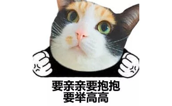 猫脸熊猫人表情包-要亲亲要抱抱要举高高