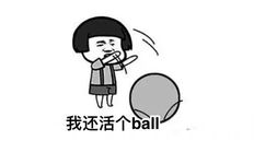 没钱啦表情包-我还活个ball