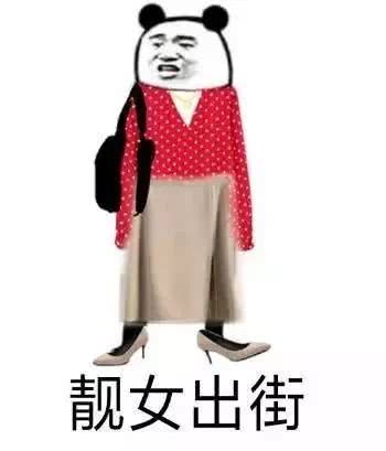 熊猫头穿着漂亮的衣服：靓女出街