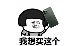 蘑菇头拿着iphone11：我想买这个