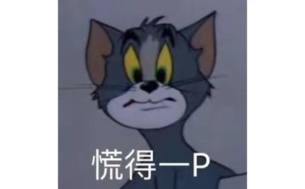 汤姆猫：慌得一P