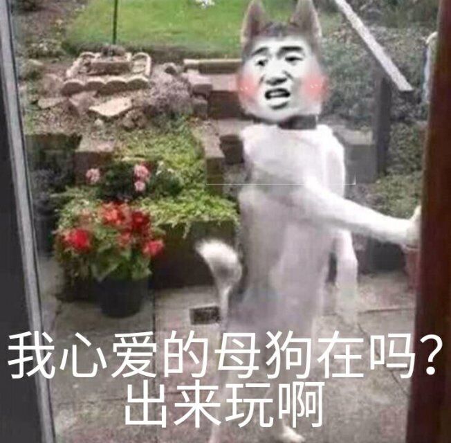 我心爱的母狗在马？出来玩啊