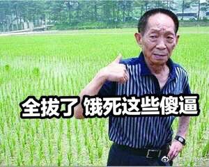 袁隆平：全拔了，饿死这些傻逼恶搞表情