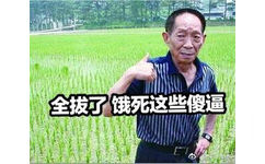 袁隆平：全拔了，饿死这些傻逼恶搞表情